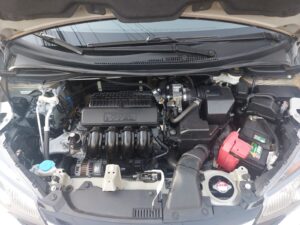 IMG-20250617-WA0131