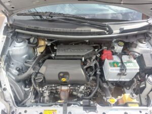 IMG-20250728-WA0445
