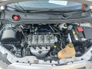 IMG-20250729-WA0219