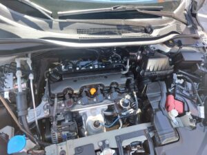 IMG-20250818-WA0164