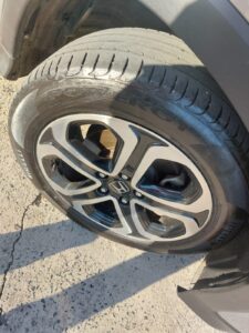 IMG-20250818-WA0366