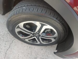 IMG-20250825-WA0113