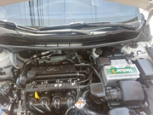 IMG-20251002-WA0134
