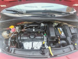 IMG-20251002-WA0323
