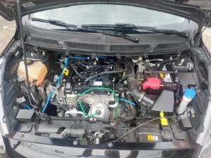 IMG-20251004-WA0083