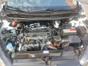 IMG-20251009-WA0104