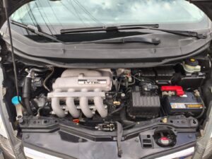 IMG-20251017-WA0176