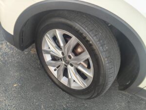 IMG-20260728-WA0087