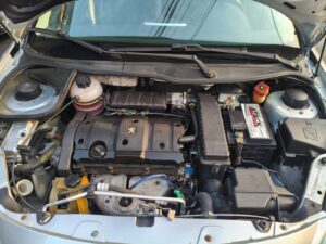 IMG-20260814-WA0135